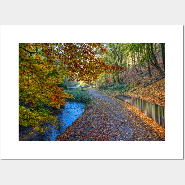 Hubbards Hills, Louth, Lincolnshire, Autumn Leaves Wall Art by tommysphotos